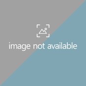 THE COLMAN GROUP, INC 100662 Replacement Lid Dispenser Door F/L2200C, Black, 5 inches Dia, Plastic